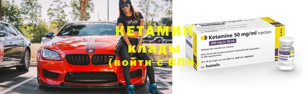 прущие грибы Балахна