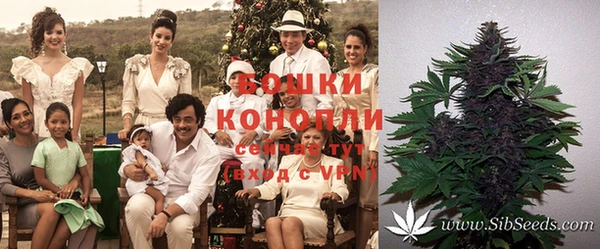 дурь Балабаново