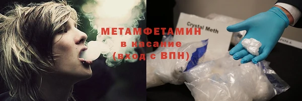 прущие грибы Балахна