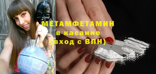 прущие грибы Балахна